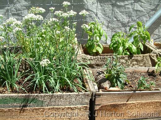 Herb boxes_2 